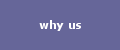 what we do